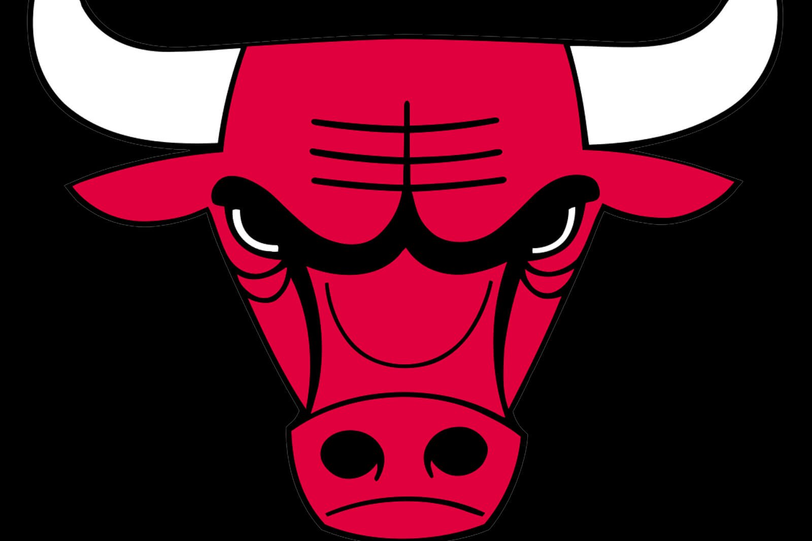 Chicago Bulls