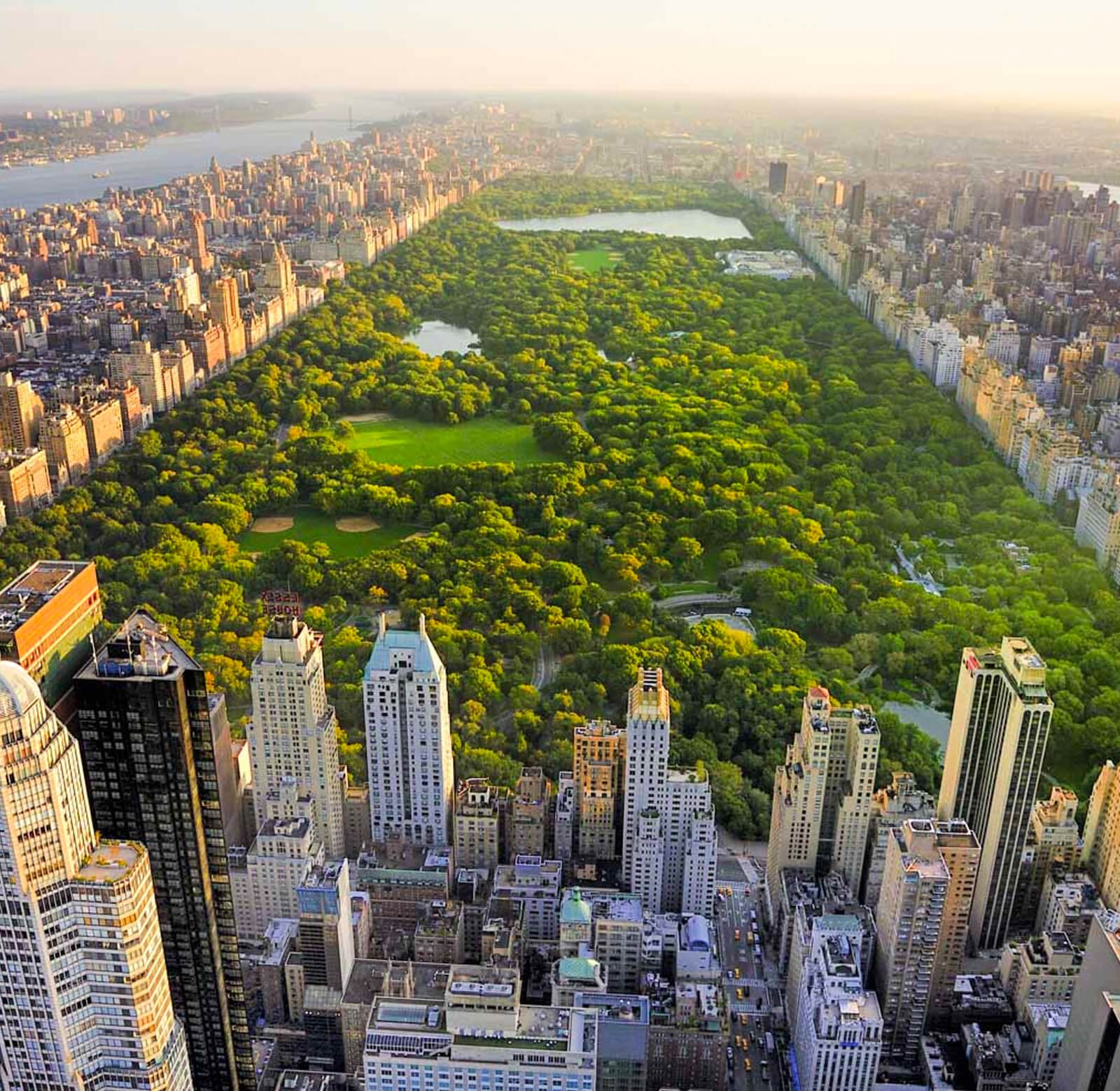 Game Day Trips New York