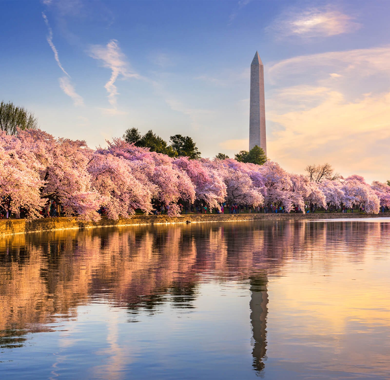 Game Day Trips Washington, D.C.